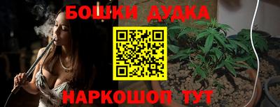 индика Кунгур