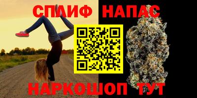 индика Кунгур