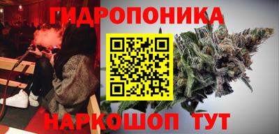 индика Кунгур