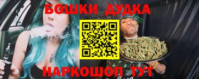 индика Кунгур