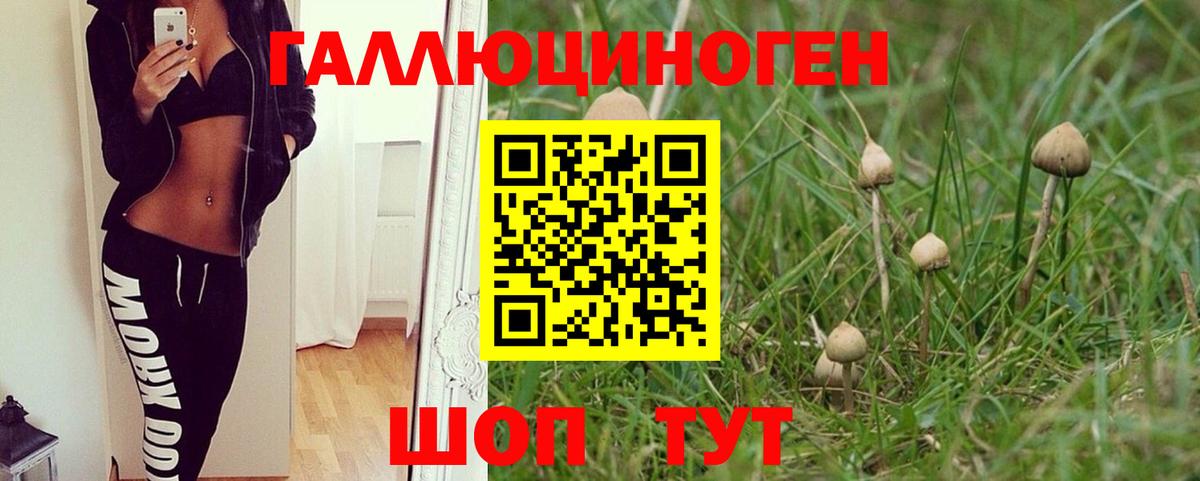 Псилоцибиновые грибы прущие грибы Каменка