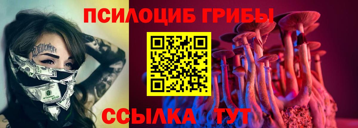 Псилоцибиновые грибы Psilocybine cubensis  Вход с VPN  Каменка  Галлюциногенные грибы мицелий 