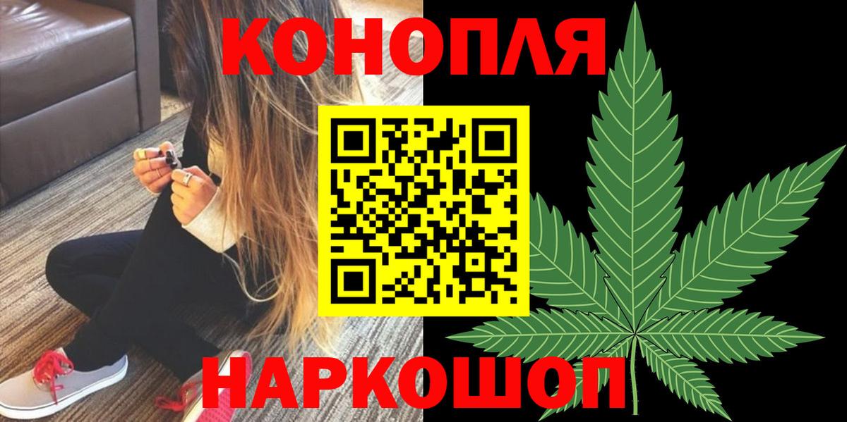 Бошки Шишки гибрид  Канабис семена  Каменка  Вход с VPN 